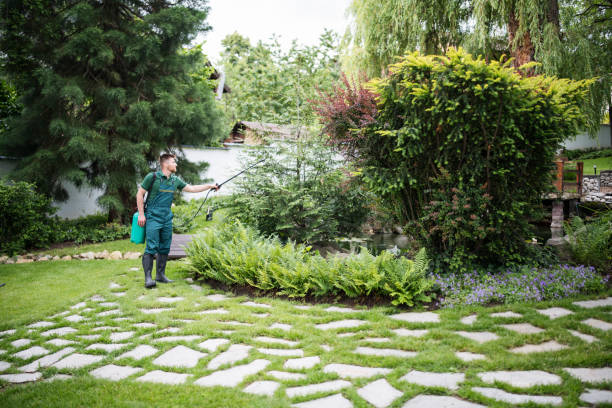 Best Cockroach Control Services  in Fairfax, MN
