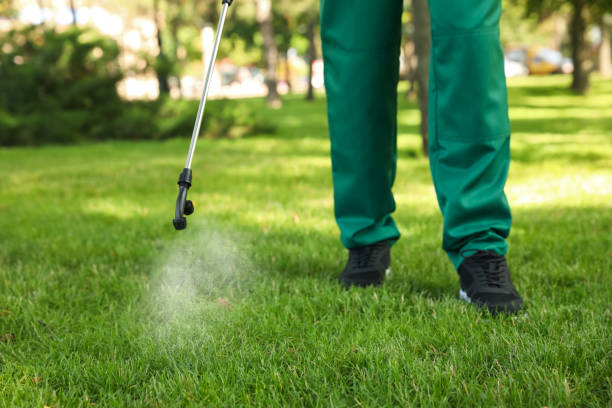 Professional Pest Control in Fairfax, MN