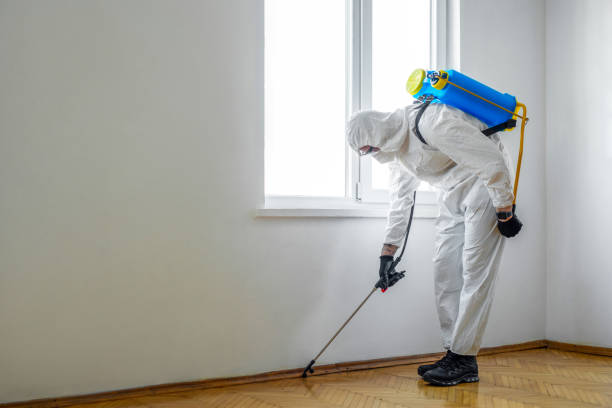 Best Local Pest Control Services  in Fairfax, MN