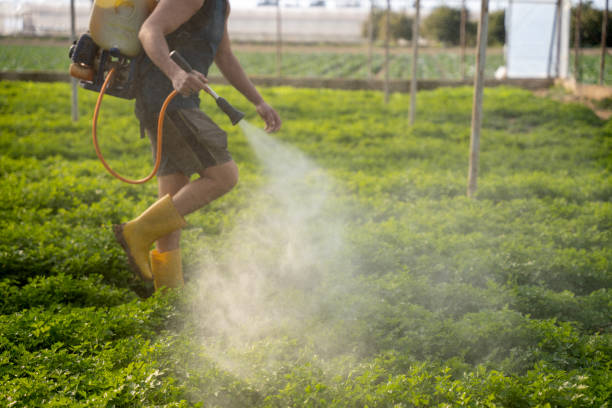 Best Pest Prevention Services  in Fairfax, MN