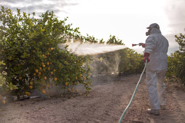 Best Affordable Pest Control Services  in Fairfax, MN