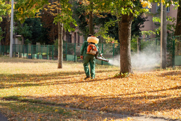 Best Emergency Pest Control  in Fairfax, MN
