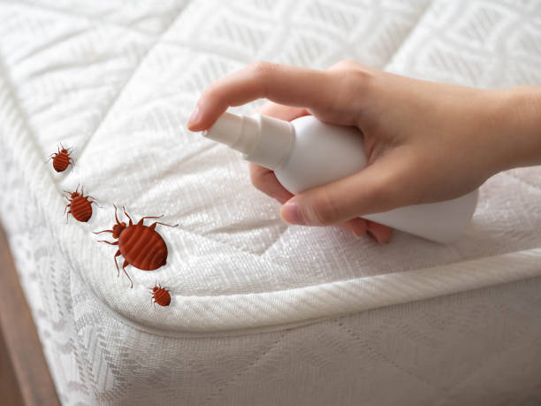 Best Commercial Pest Control Services  in Fairfax, MN
