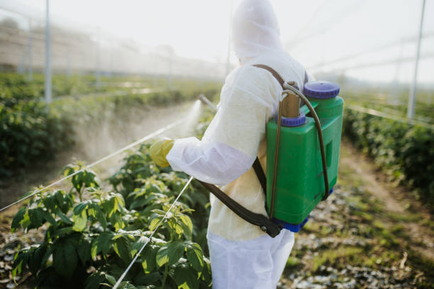Best Local Pest Control Services  in Fairfax, MN